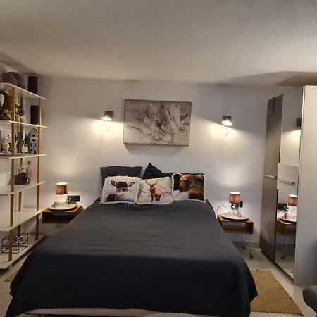 35M2 Hauts D'Albertville Terrasse Avec Vue Pallud Ngoại thất bức ảnh